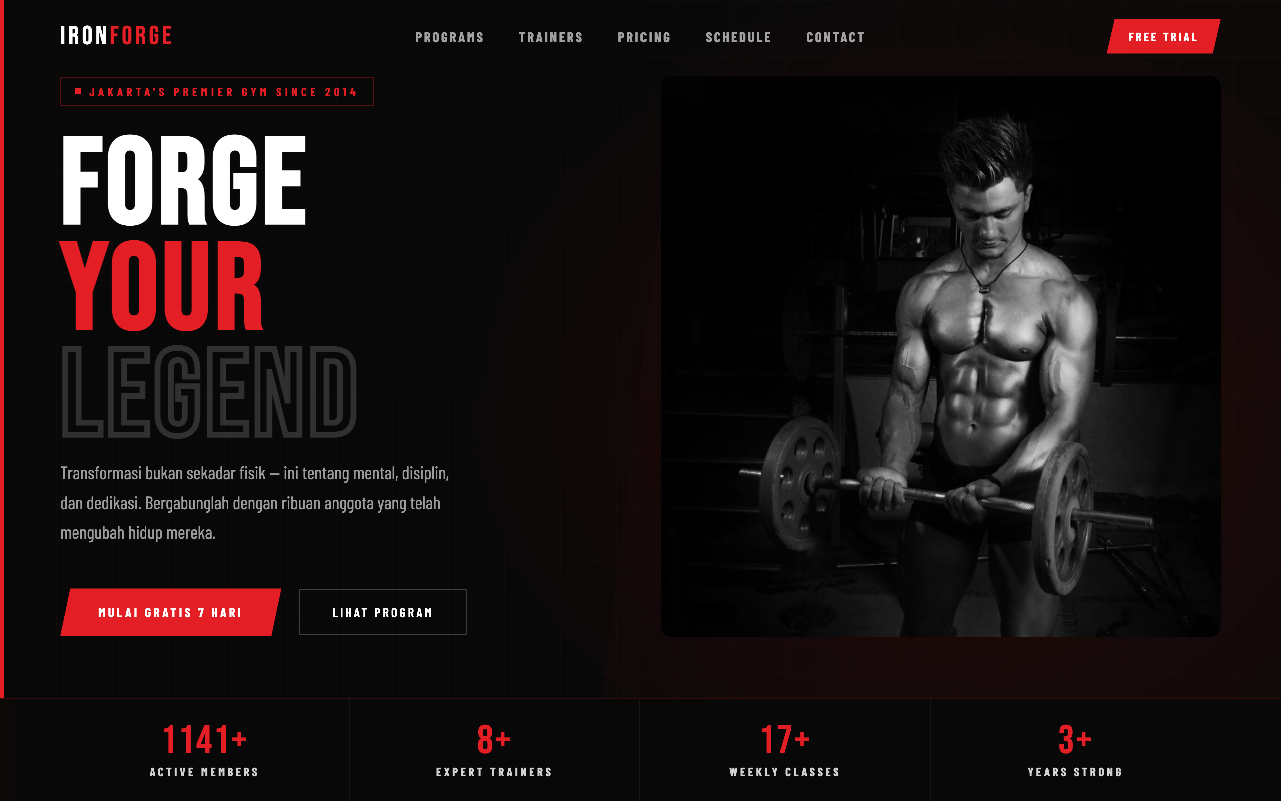 IRONFORGE Gym
